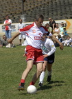 Orly Gorskiego